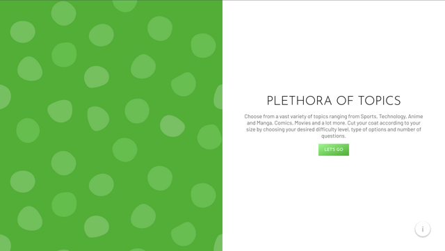 Quizzaly project preview - Image 1